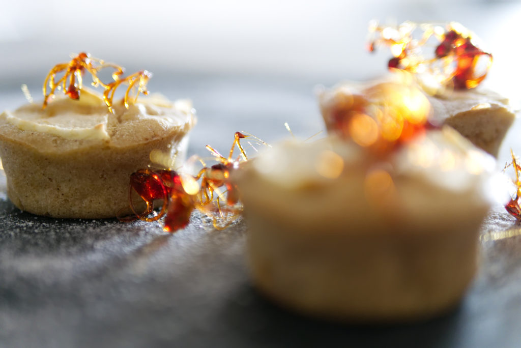 Panama Quadrat: Winterliche Apfel-Zimt-Cupcakes mit Puderzucker Panama Quadrat: Winterliche Apfel-Zimt-Cupcakes mit Puderzucker