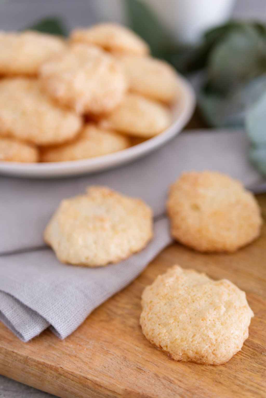 Kokosmakronen – glutenfreie Weihnachtsbäckerei | Panama Quadrat